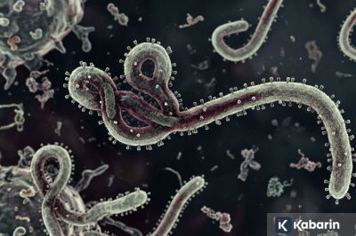 Kongo Larang Kerumunan di Empat Wilayah untuk Tekan Penyebaran Ebola