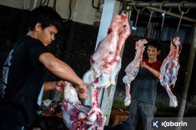 Tips Mencegah Infeksi Kulit Bagi Pemotong Hewan Kurban