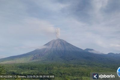 Semeru Erupsi Lima Kali Pagi Ini, Tinggi Letusan hingga 1.000 Meter