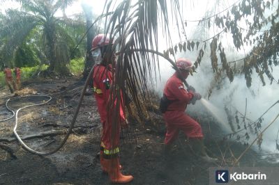 Akumulasi Kebakaran Lahan di Riau Mencapai 15 Ribu Hektare