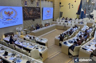 Mendagri Usulkan Pembentukan Direktorat Jenderal Khusus untuk BUMD