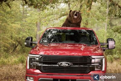 Ford Gunakan Beruang Berbobot 363 Kg untuk Menguji F-150 Platinum