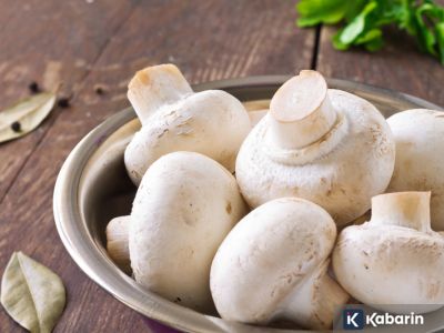 Benarkah jamur sudah hidup di bumi jauh sebelum hewan dan tumbuhan ada?