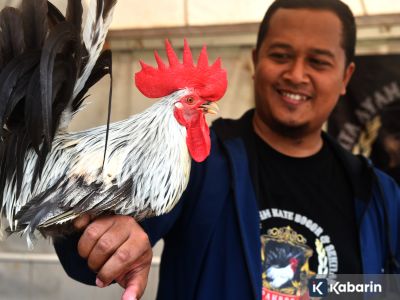 Hari Cinta Puspa dan Satwa Nasional: Sejarah serta tujuannya di dalamnya