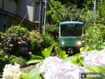 Berbagai jenis transportasi umum yang ada di Jepang beserta biayanya