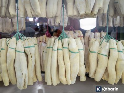 Manfaat serta efek samping tape singkong bagi kesehatan