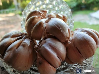 Ekstra bawang putih ternyata bisa jadi obat kumur alami anti kuman