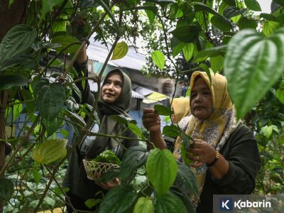 Enam bahan dapur ini bisa jadi penolong saat mimisan