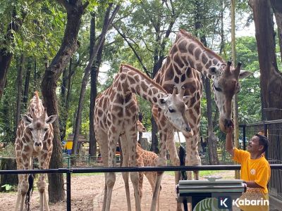 6 rekomendasi tempat wisata satwa di Jakarta untuk liburan akhir pekan
