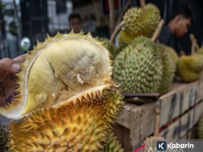 6 manfaat buah durian yang baik untuk kesehatan tubuh