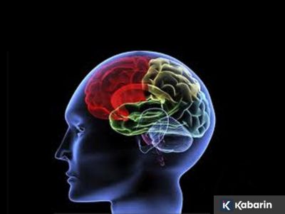 Otak bisa lebih jago mengingat saat tubuh lagi lelah, ini alasannya