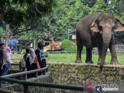 Ragunan simulasikan kebijakan buka di malam hari