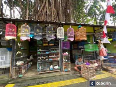 Lagi nyari peliharaan? 5 pasar hewan di Jakarta ini mungkin bisa kamu kunjungi