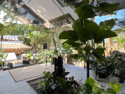 Taco dukung desainer lokal di ajang JIA Curated 2025