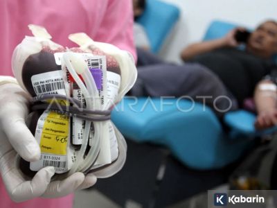 Rutin donor darah dapat menurunkan risiko penyakit jantung serta stroke, kok bisa?