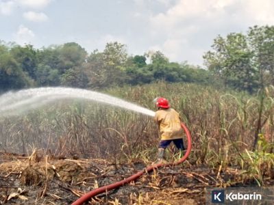 Lahan tebu seluas 3 hektare di Sragen terbakar, api berhasil dipadamkan