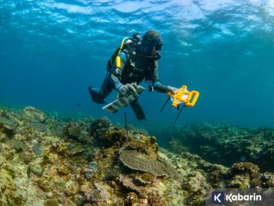 Ilmuwan temukan dua spesies baru di laut Australia