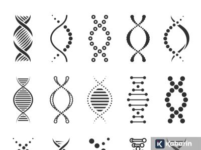 Menilik tentang metode tes DNA dan bagaimana cara kerjanya?