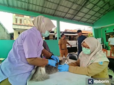 Ratusan hewan penular rabies divaksin di Jakarta Barat