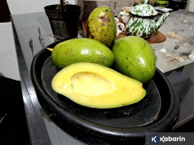 Masih aman! Ini fakta di balik alpukat yang berubah warna jadi cokelat