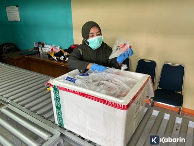 Ekspor ikan beku Maluku capai nilai Rp90 miliar per September 2025