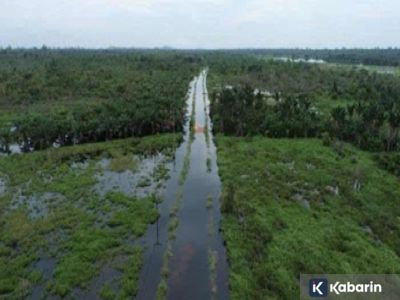 Masyarakat Adat Dayak hadapi krisis gambut dan ruang hidup akibat kelapa sawit