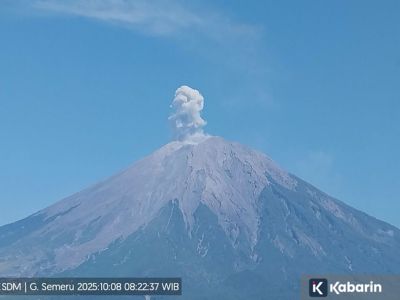 Gunung Semeru erupsi, kolom abu capai 700 meter di atas puncak