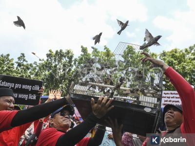 Eks pedagang Pasar Barito akan tempati Sentra Fauna Lenteng Agung