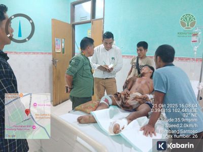 Seorang warga Indragiri Hulu diserang 2 harimau saat di hutan