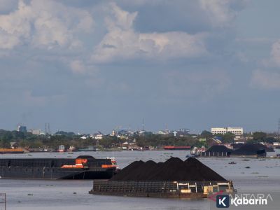 Harga batu bara kembali melemah di periode II November