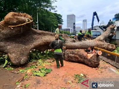 Angin kencang picu pohon tumbang di atas lintasan MRT Jakarta kemarin