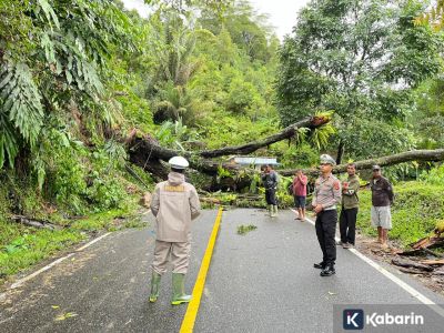Akses Solok-Solok Selatan kembali lumpuh akibat longsor dan pohon tumbang