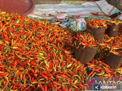 Daftar harga pangan pokok hari Rabu ini: cabe Rp51.150/kg, telur Rp31.750/kg
