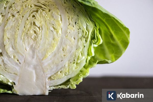 Gak cuma digoreng, kol juga enak dipanggang