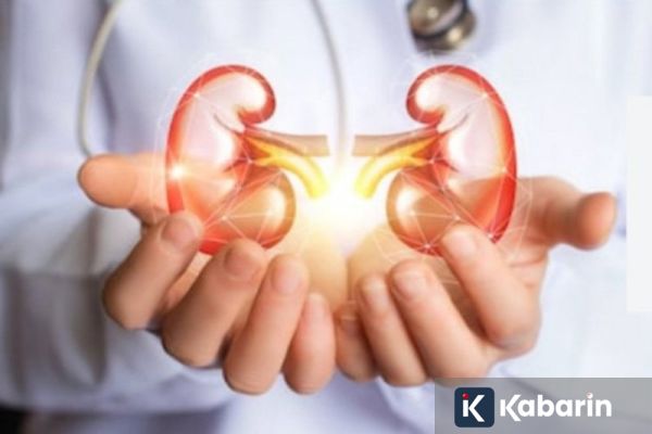 Inilah Perbedaan Karakteristik Kanker Ginjal pada Anak dan Orang Dewasa 
