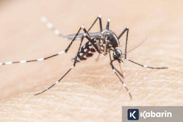 Dokter Jelaskan Penyebab Anak Lebih Rentan Mengalami Malaria Berat