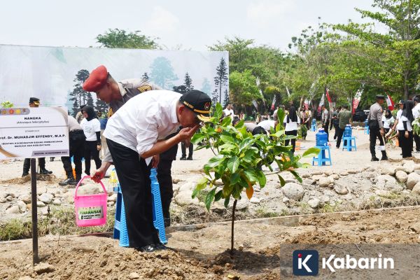 6 manfaat tak terduga dalam daun nangka