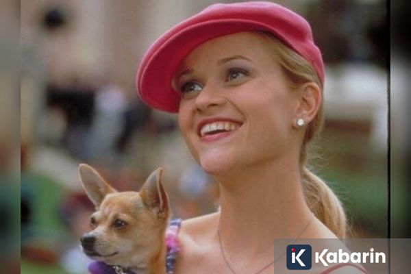 Prime Video Segera Tayangin Prekuel Film Legally Blonde "Elle" pada 1 Juli