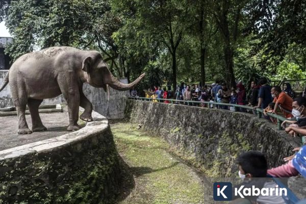 Ragunan Prediksi 40 Ribu Wisatawan Akan Datang saat Libur Tahun Baru Islam