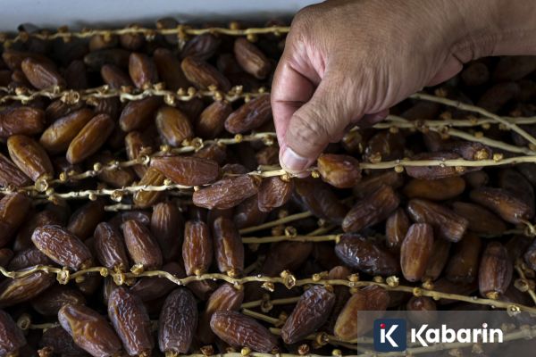 Waktu Terbaik Makan Kurma Menurut Ahli Gizi