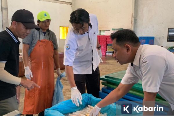 KKP Pastikan Seluruh Layanan Sertifikasi Mutu Perikanan Gratis