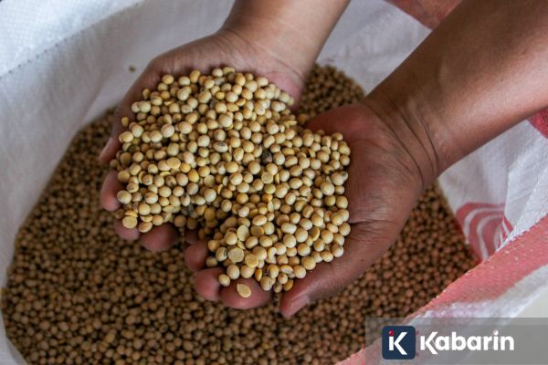 Harga Kedelai di Jakarta Naik, Masyarakat Diminta Sesuaikan Kebutuhan