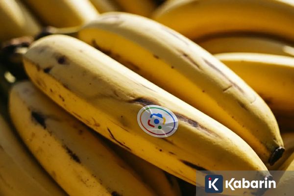 Google Perkenalkan Nano Banana 2, AI Pembuat Gambar yang Lebih Ngebut