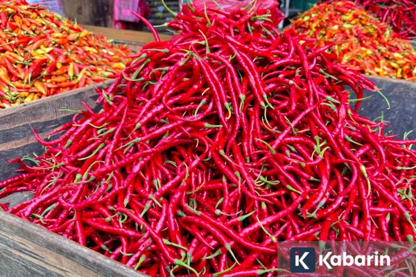 Cuaca Buruk Sebabkan Harga Cabai Keriting di Jakarta Naik