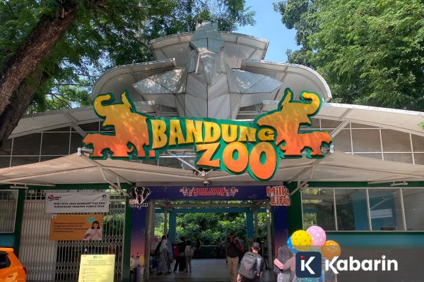 Nasib Bandung Zoo Kini Berada di Persimpangan
