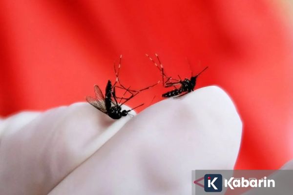 Pemkot Jaksel Ajak Warga Terapkan 3M Plus untuk Cegah Demam Berdarah