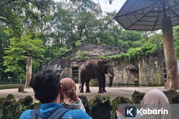 58.025 Wisatawan Padati Ragunan Selama Libur Tahun Baru Imlek