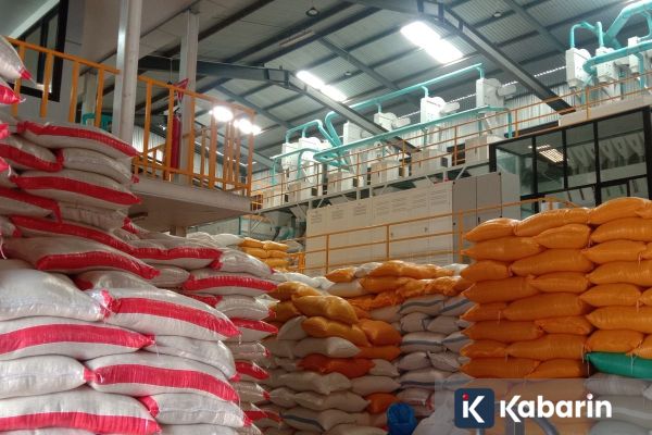 Produksi Beras Naik, Gudang Food Grade Ikut Kebanjiran Permintaan