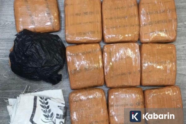 Pengedar Ganja 10 Kg Ditangkap di Grogol Jakarta Barat
