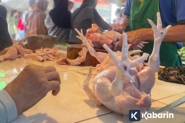 Harga Daging Ayam di Jakarta Capai Rp38.500-Rp40.500 per/Kg